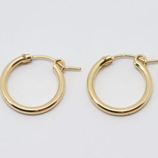 Gold Hoop Earrings_0