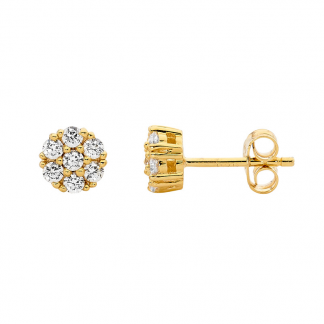 Stg Cluster Earrings with Gold IP Plating_0