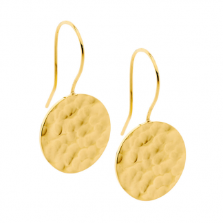 S/Steel Gold Plate Hammered Earrings_0