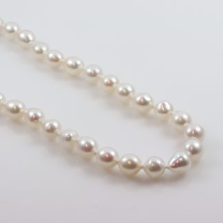 White Semi Baroque Pearls_0