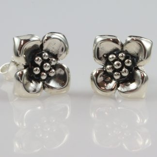 Stg/silver Earrings_0
