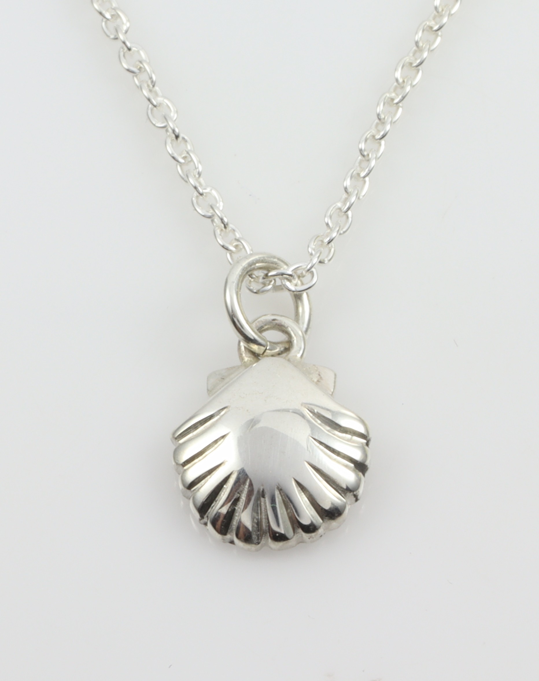 Stg Sea Shell Pendant_0